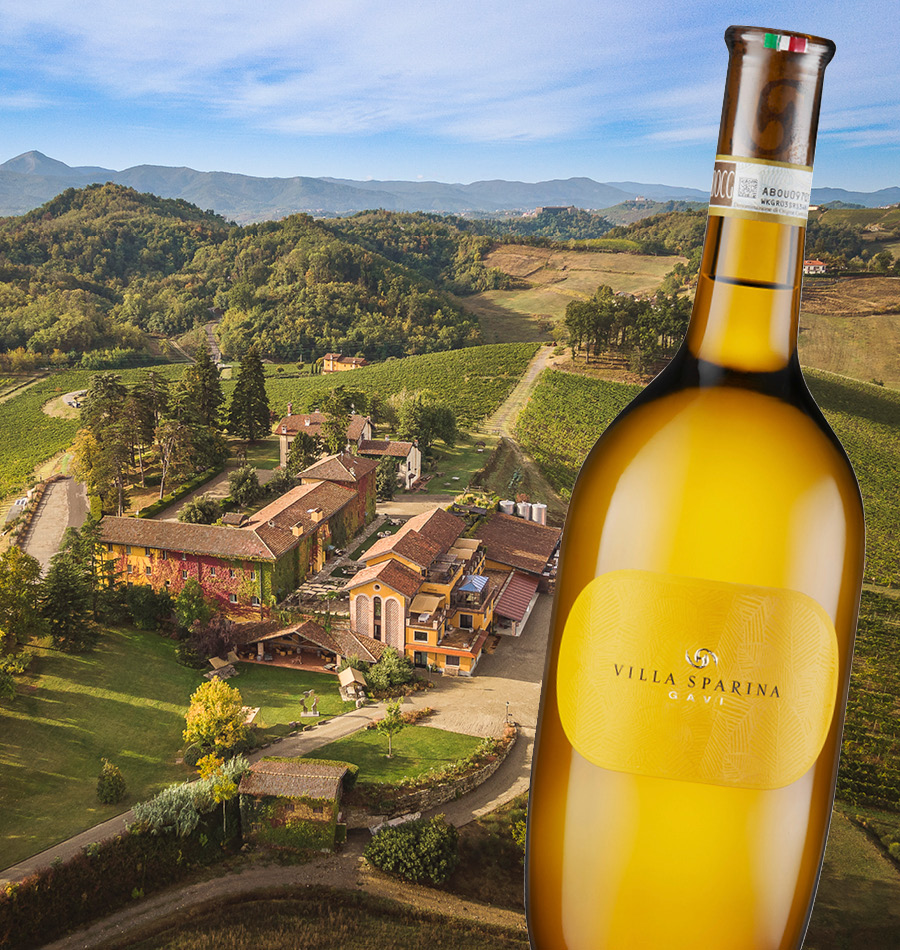 Wein, Weinflasche, Villa Sparina, Landschaft, Weinbaugebiet