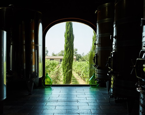 Ein architektonisches Fenster öffnet sich auf einen Weinberg, flankiert von hohen Zypressen. Innen stehen große Edelstahltanks. Der Raum hat eine dunkle, behagliche Atmosphäre und lässt Licht herein.