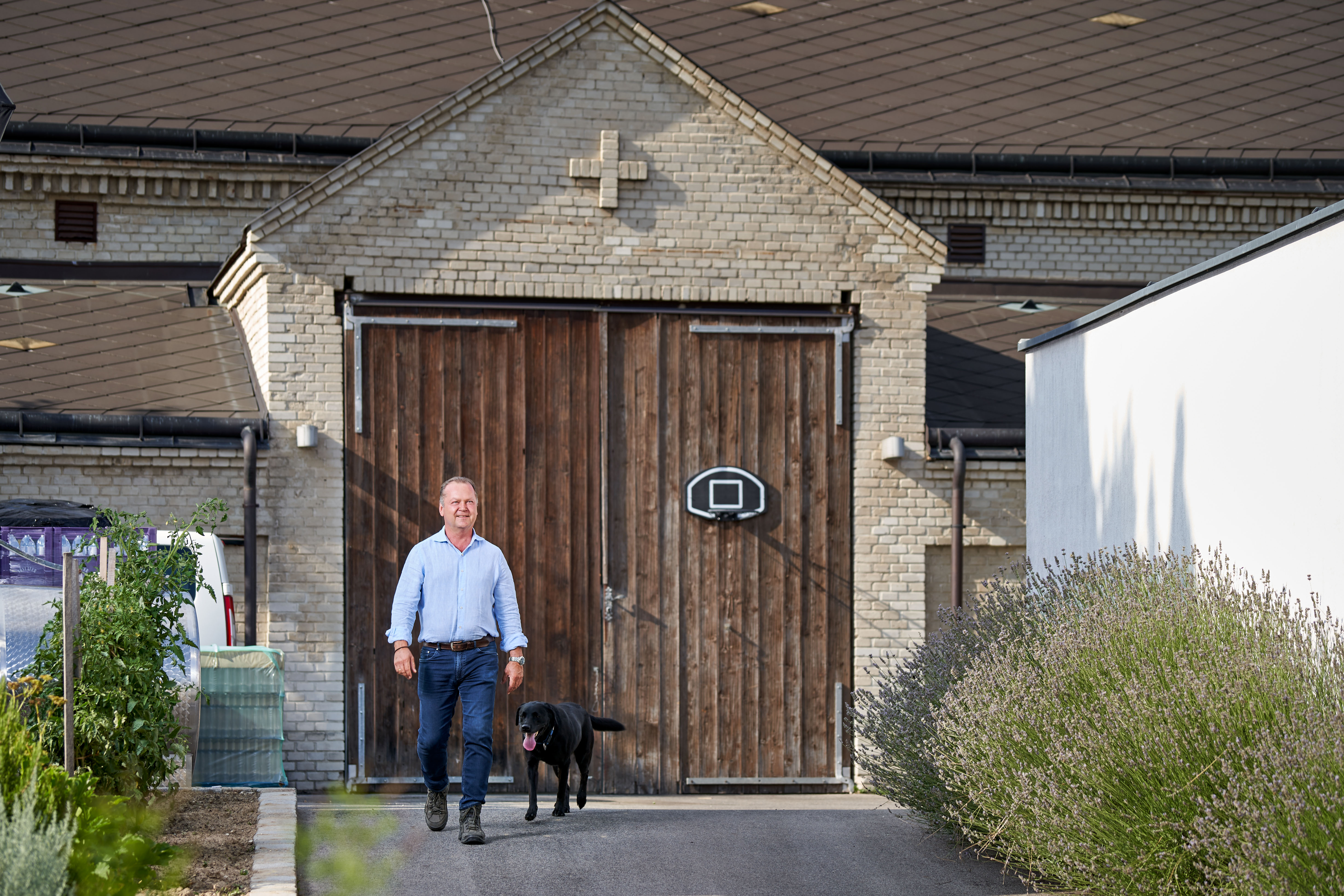 haus, garage, mann, hund, tor