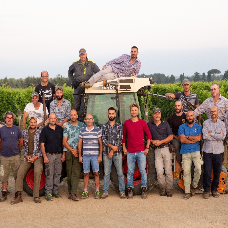 Kollektiv, Bauern, Traktor, Feld, Gruppenfoto