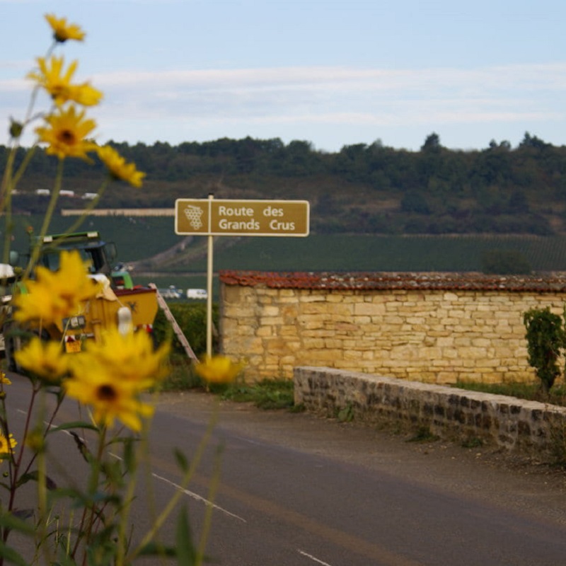 Schild,  Straße,  Steinemauer,  Blumen,  Weinberg