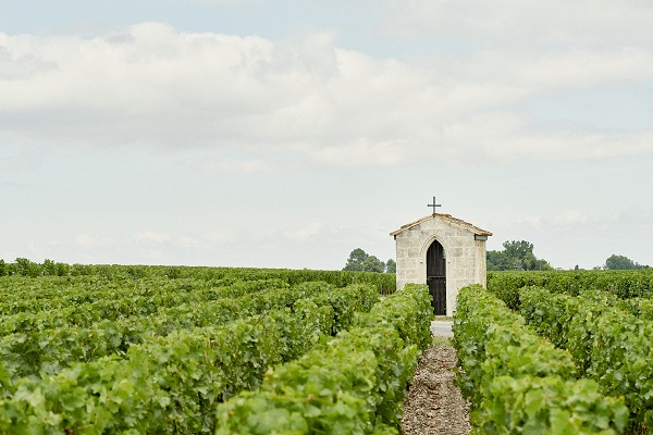 Ein kleines Steingebäude mit einem Kreuz, umgeben von Weinreben. Die Weinreben reihen sich in Reihen entlang eines schmalen Weges, und der Himmel ist leicht bewölkt.