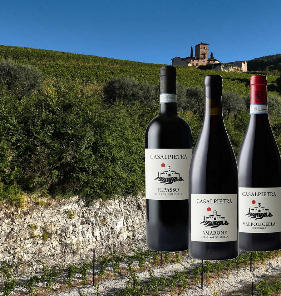 wein, weingüter, valpolicella, amaro, flasche