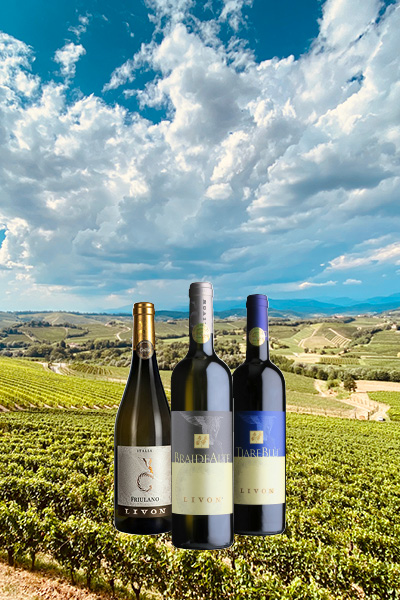 Wein, Rotwein, Flasche, Weinlandschaft, Viticultural