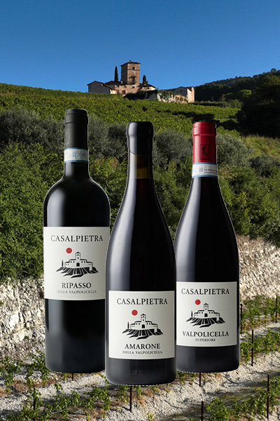 Wein, Rotwein, Flasche, Weinreben, Viniculture