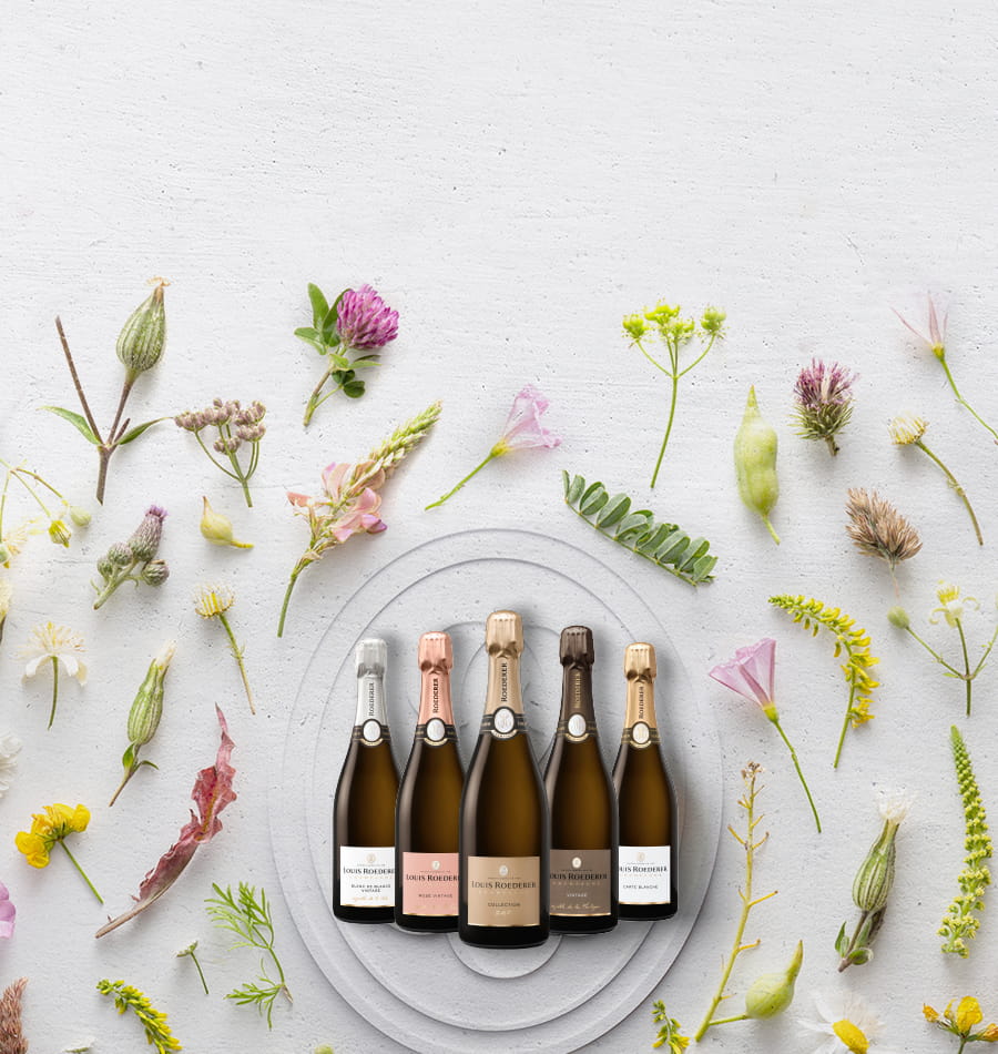 Champagne, Flasche, Sekt, Wein, Set