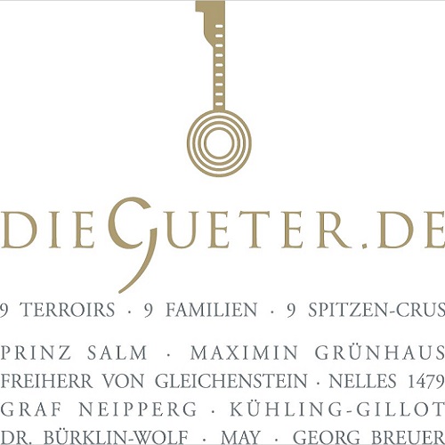 gitarre, logo, saiteninstrument,  hals, ring