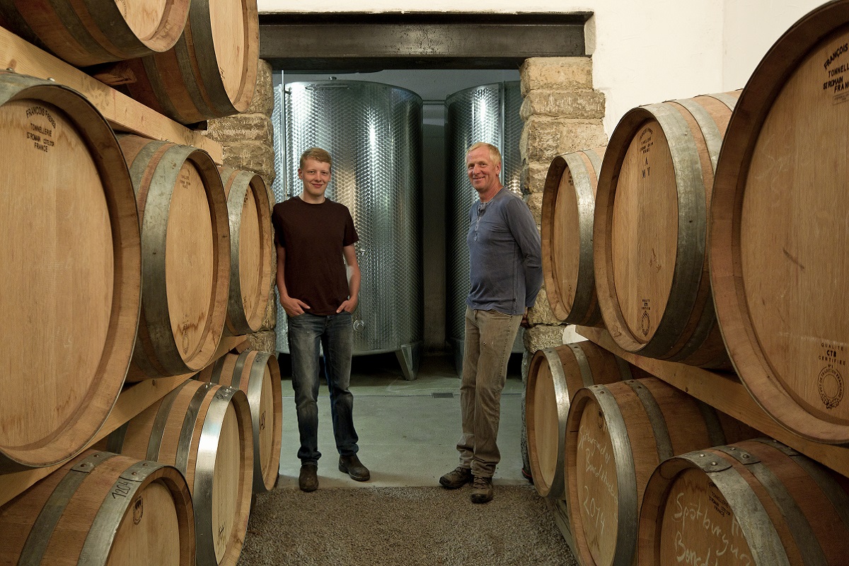 Weinrebenbarrel, Holzfass, Weinlagerung, Weinfasslager, Gastronomie
