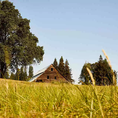 Eine malerische, alte Scheune steht in einer Wiese. Umgeben von hohen Bäumen und unter einem klaren, blauen Himmel, verdichtet sich das Gras im Vordergrund.