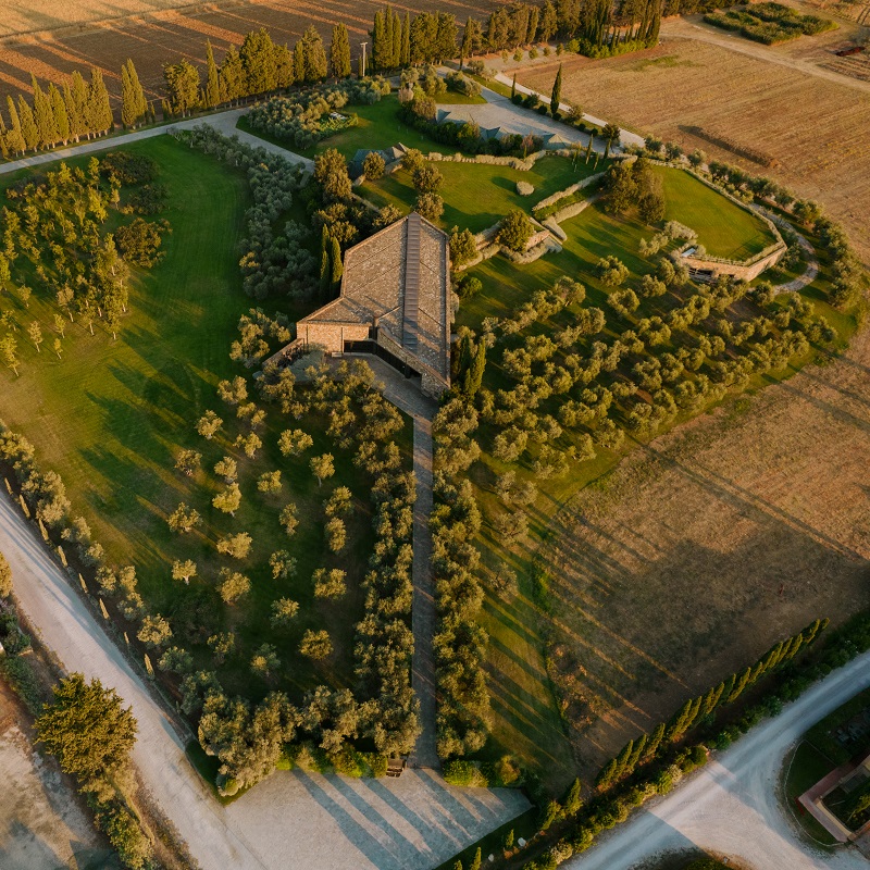 Villa, Anwesen, Rasen, Olivenbäume, Pfad