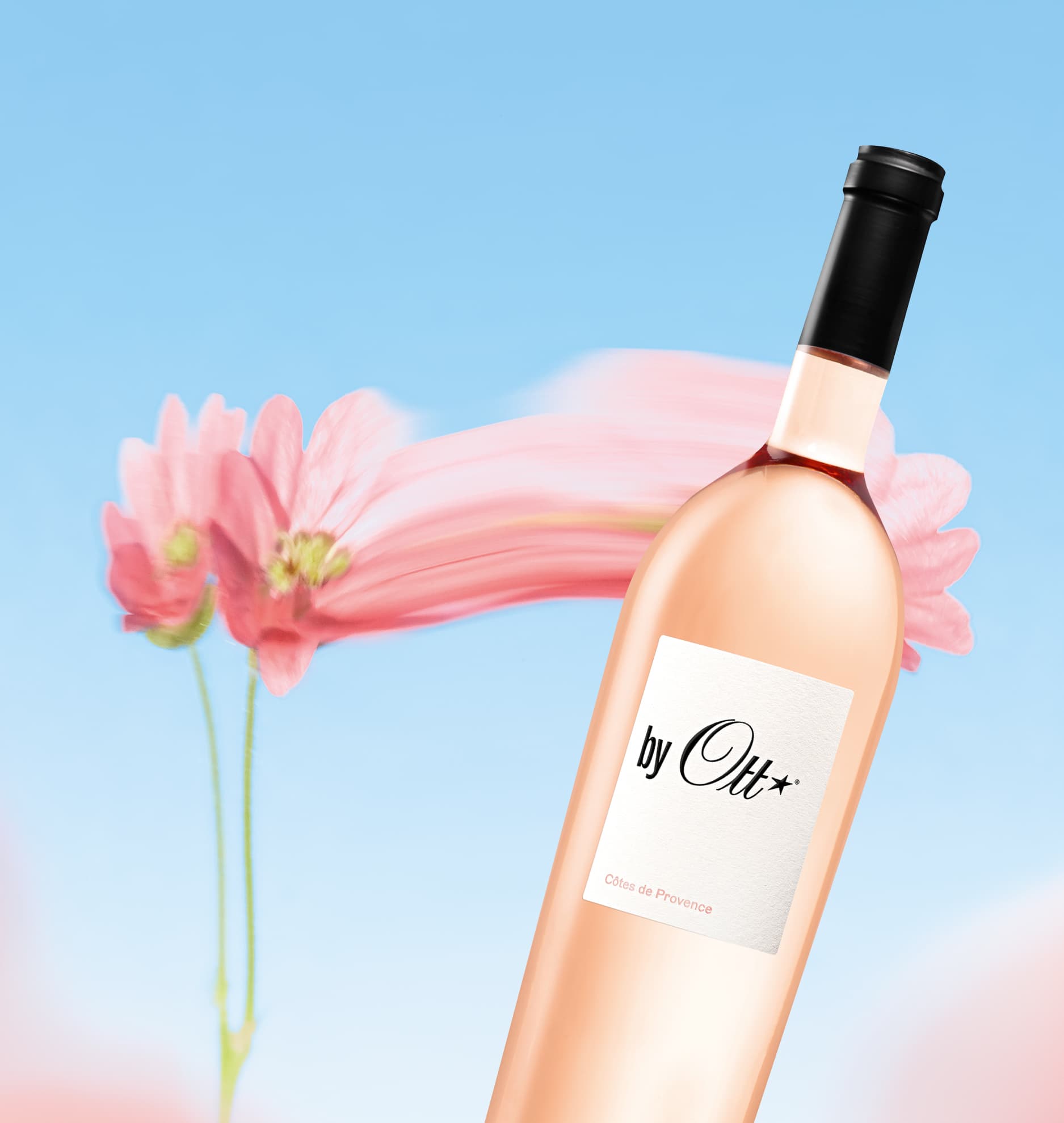 Weißwein, Rose, Flasche, Etikett, Provence