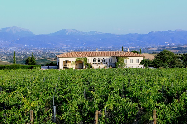 Ein elegantes Landhaus steht vor einem weiten Weinberg. Im Hintergrund sind sanfte Hügel und Berge sichtbar, während der Himmel blau ist und eine ruhige Atmosphäre vermittelt.