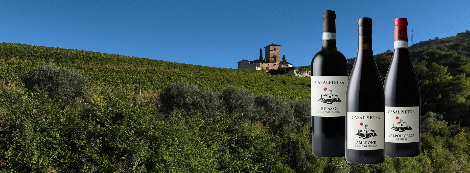 Wein, Weinflasche, Rotwein, Gartenlandschaft, Weinbaugebiet