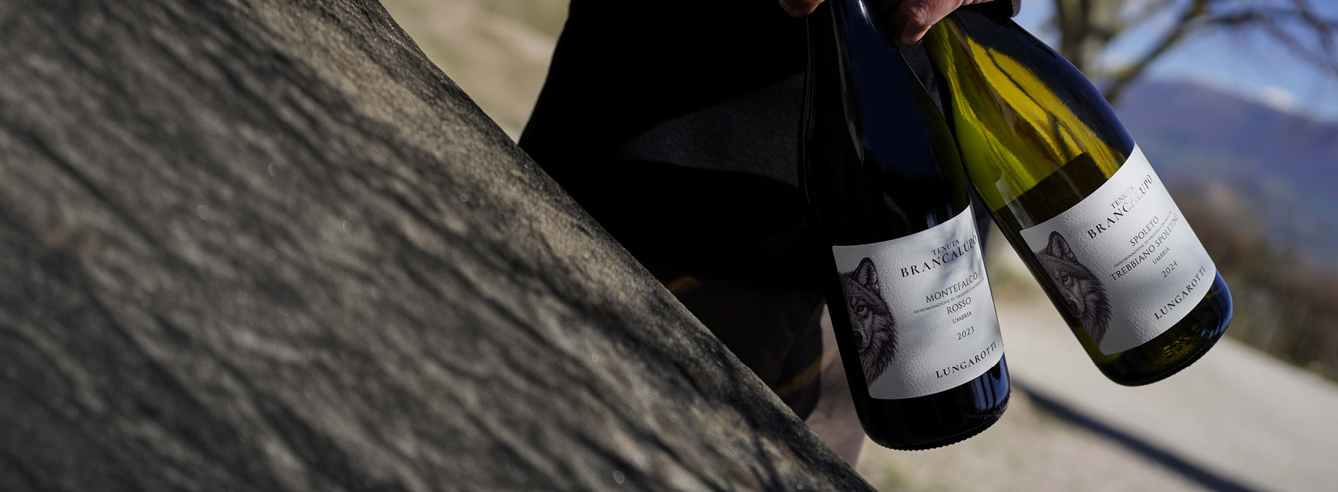 wein, weineflasche, rotwein, weinglas, flasche