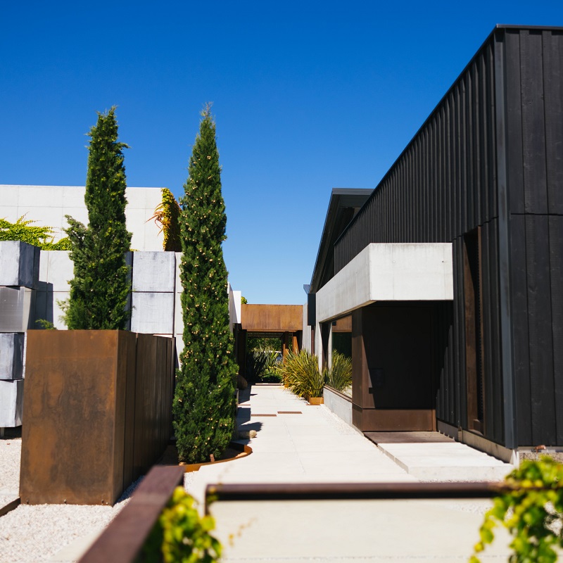 Gartenweg, Moderne Architektur, Kiefer, Beton, Gartenpflanzen