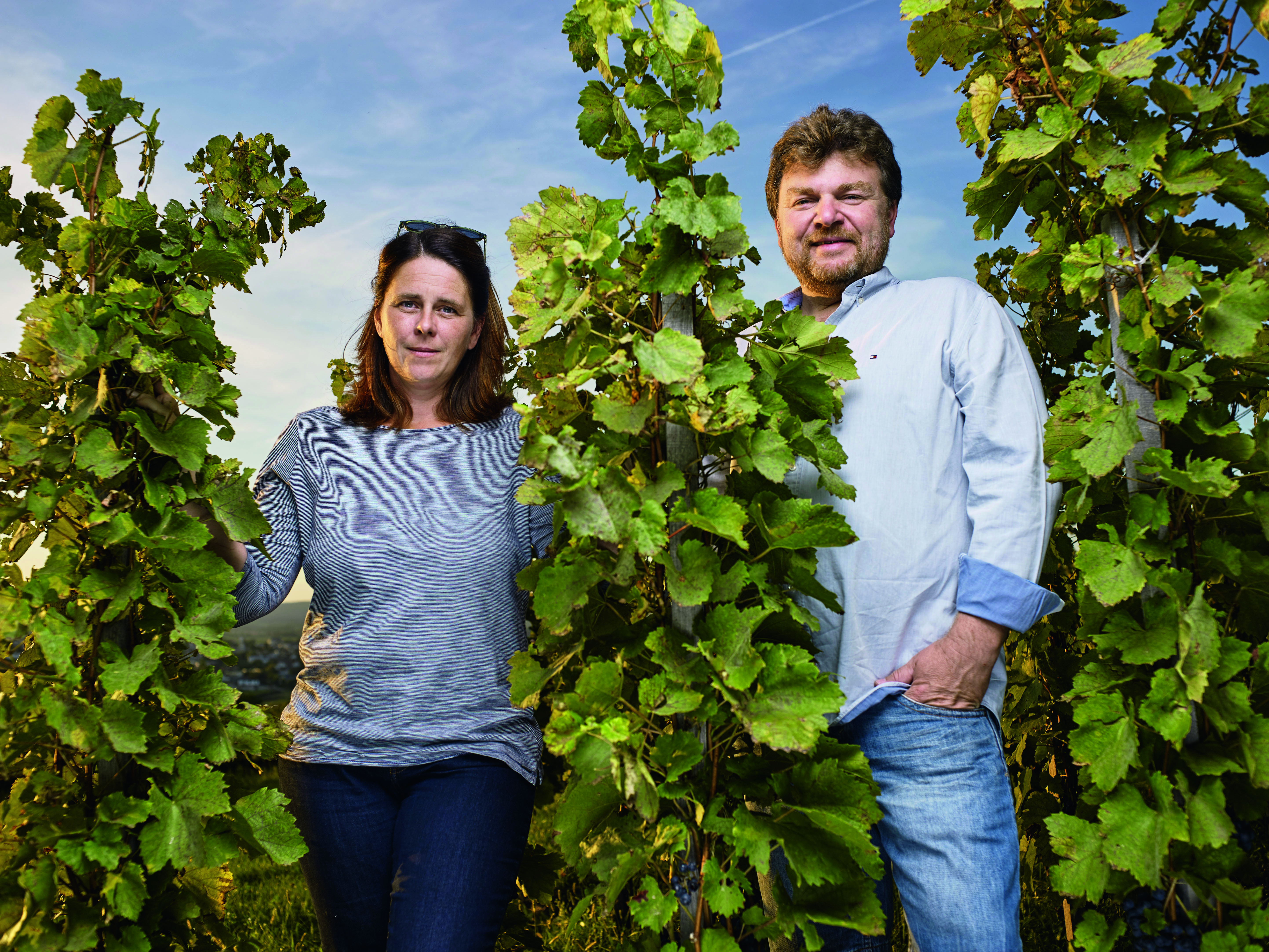 Ein Mann und eine Frau stehen zwischen Weinreben. Die Frau trägt ein graues Oberteil, der Mann ein weißes Hemd. Um sie herum ist eine grüne, natürliche Umgebung mit blauen Himmel im Hintergrund.