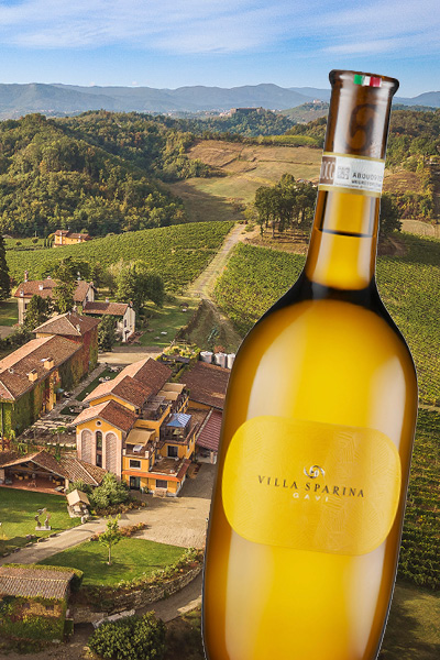 weinflasche, weisswein, flasche, vin naturel, turmlandschaft