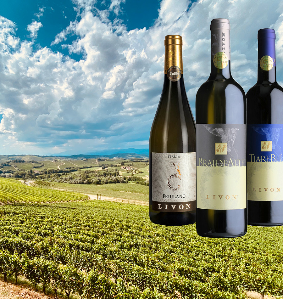 Wein, Weinflasche, Rotwein, Weinberge, Livon