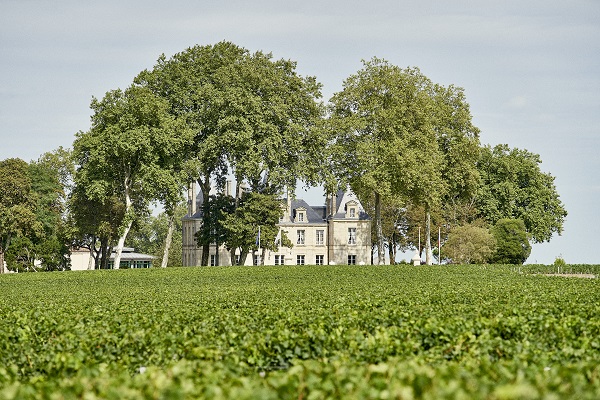 Ein großes, elegantes Gebäude steht im Hintergrund, umgeben von hohen Bäumen und einer grünen Wiese. Im Vordergrund erstreckt sich ein Feld mit Pflanzen. Der Himmel ist klar und sonnig.