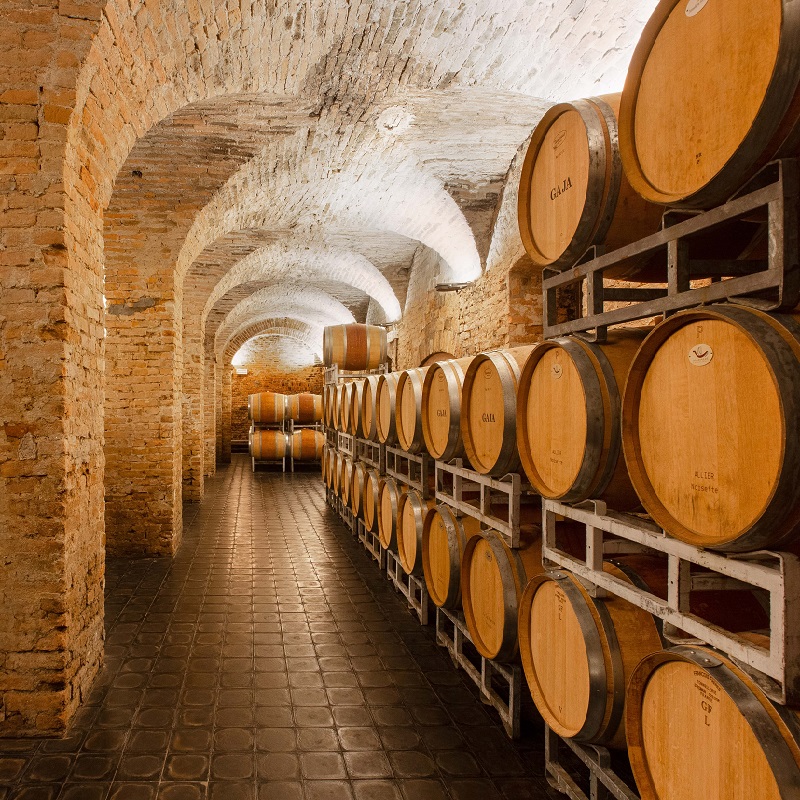 Weinlager, Weinfässer, Holzfässer, Rotweinfass, Keller