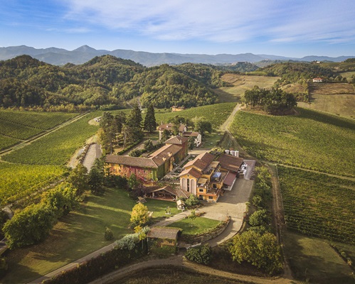 Eine malerische Landschaft mit Weinbergen umgibt ein großes, charmantes Anwesen. Das Gebäude ist umgeben von Bäumen, und im Hintergrund sind sanfte Hügel zu sehen, die den Horizont formen.