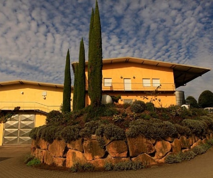 haus, gelb, garten, pflanzen, landhaus