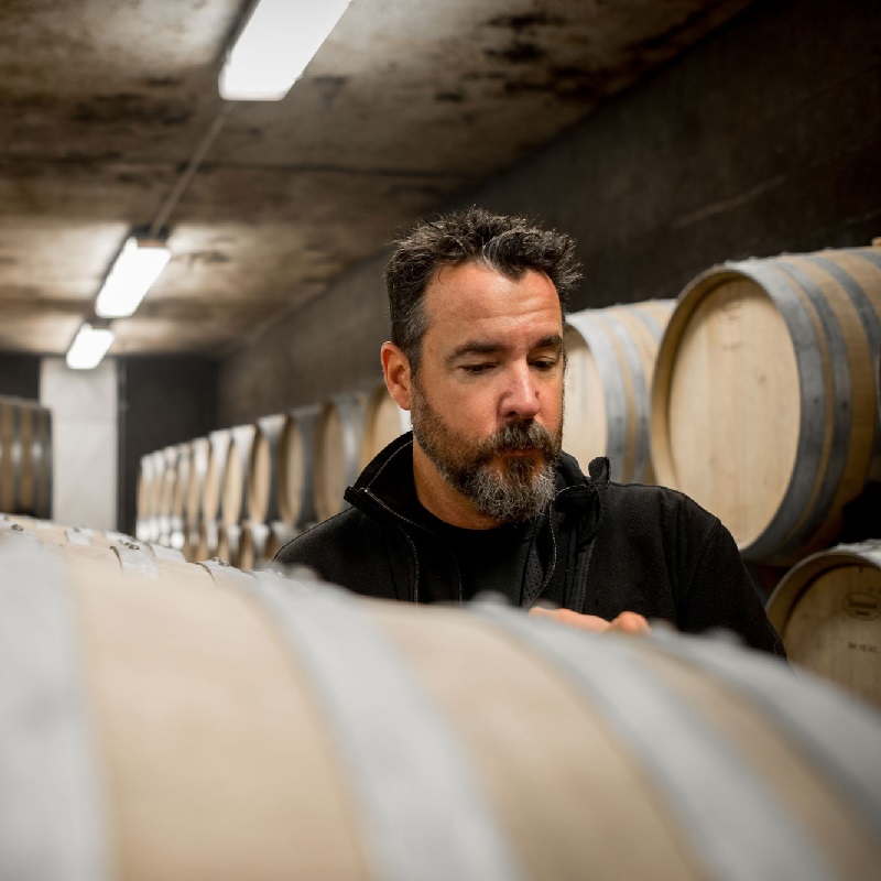 Weinlager, Weinbarrique, Holzfass, Mann, Schwarz
